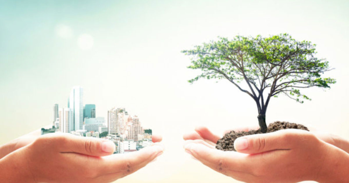 Desarrollo sustentable (Sem. Ago.-Dic. 2025) 12:30 h