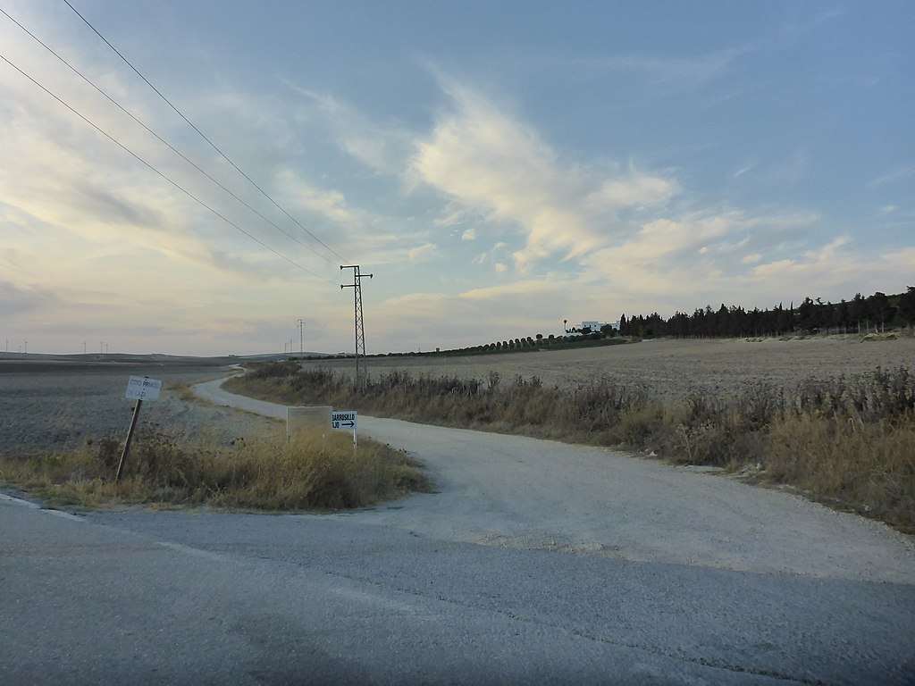 CARRETERAS  ING. ROMANA J LAGUNAS MATEOS